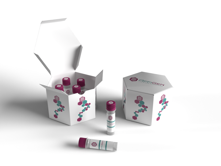 AffiAB® Goat Anti-Mouse IgG (H&L) HRP